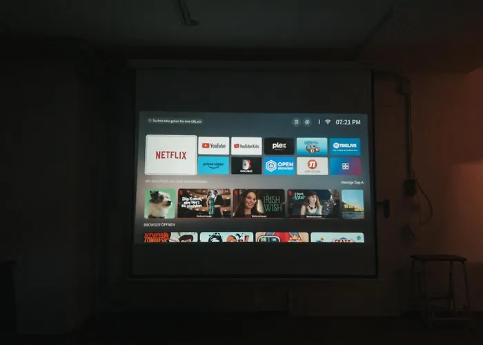 Apartment Raum Life - Vintage Loft - Heimkino Netflix - 2x Privat Parkplaetze *